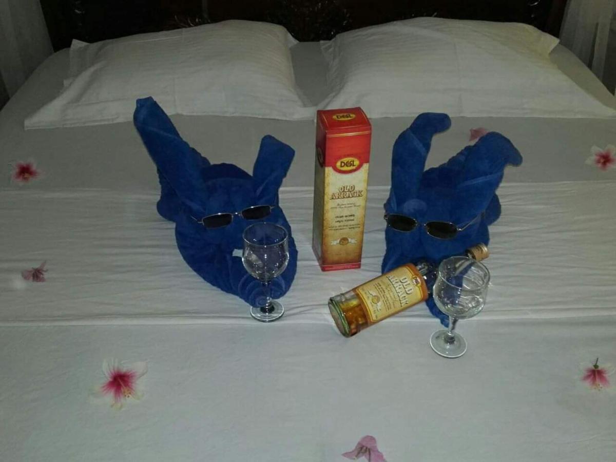保格别墅酒店 本托塔 外观 照片